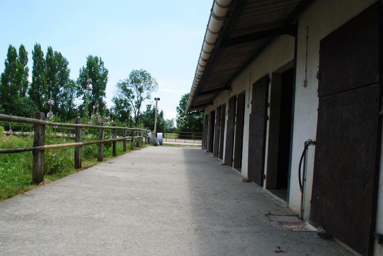 Apartament Ecurie De La Grange L'Abbe Le Langon Zewnętrze zdjęcie